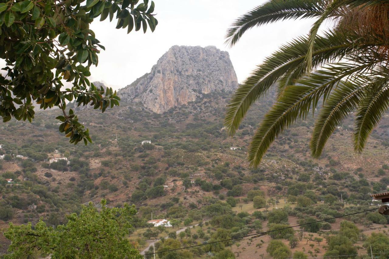 Appartamento Lagar Del Chorro Junto Caminito Del Rey Piscina Y Baloncesto Esterno foto